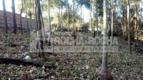 COND. FAZENDA REAL